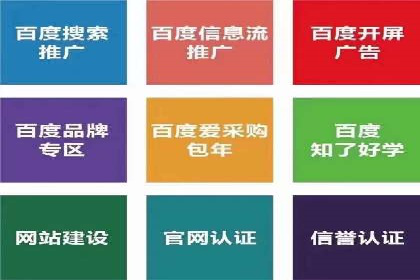 行业首例：SEM推广竞价代运营的突破与挑战